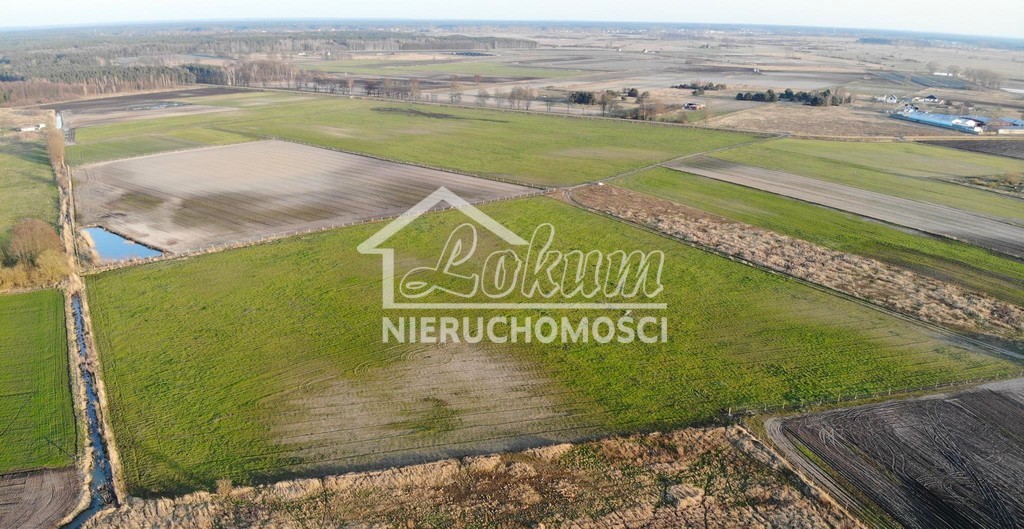 Działka budowlana 3000&nbsp;m², Lubczyna - zdjęcie 7