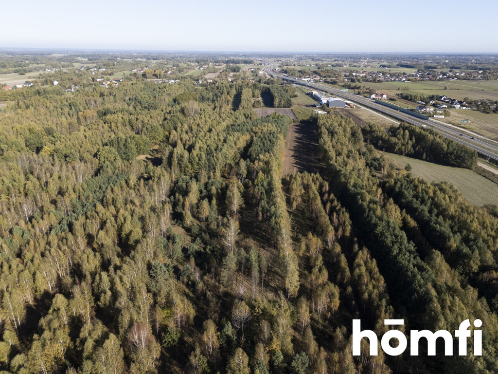 Działka budowlana 4100&nbsp;m², Kacprowice - zdjęcie 10