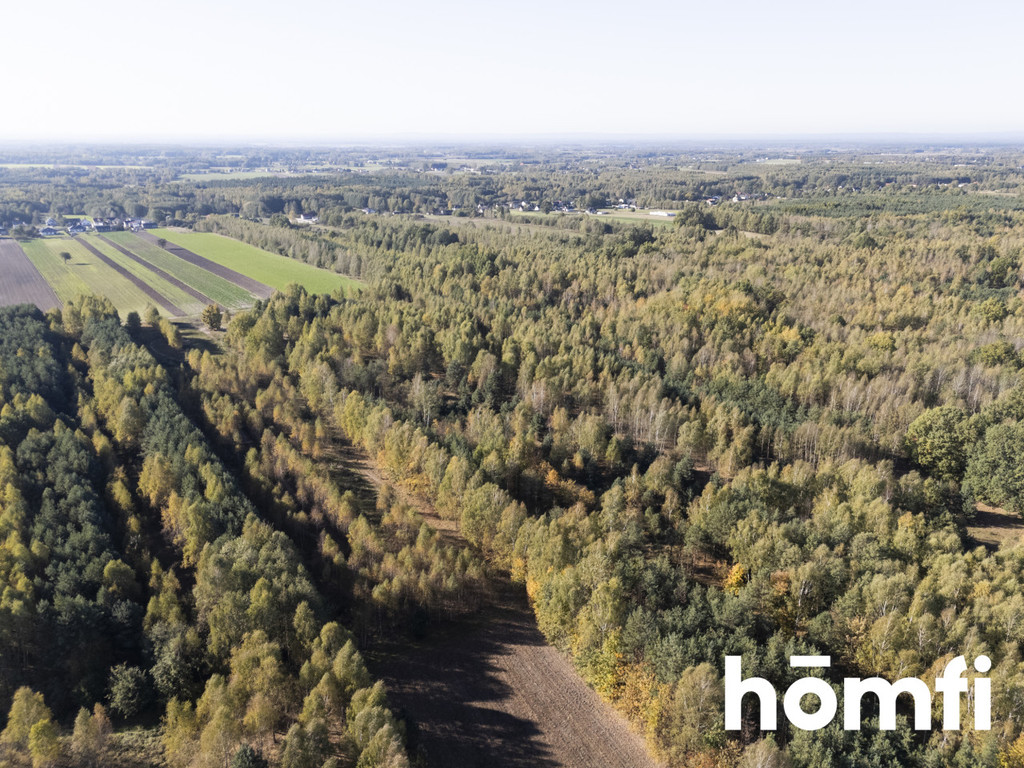 Działka budowlana 4100&nbsp;m², Kacprowice - zdjęcie 5