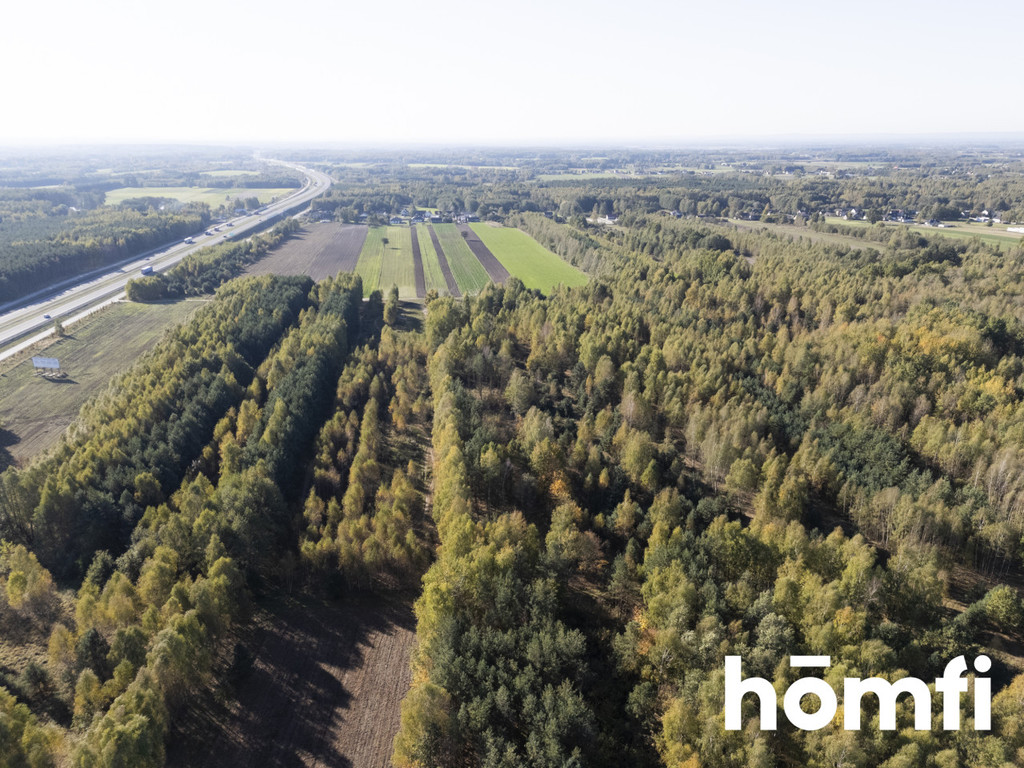 Działka budowlana 4100&nbsp;m², Kacprowice - zdjęcie 2