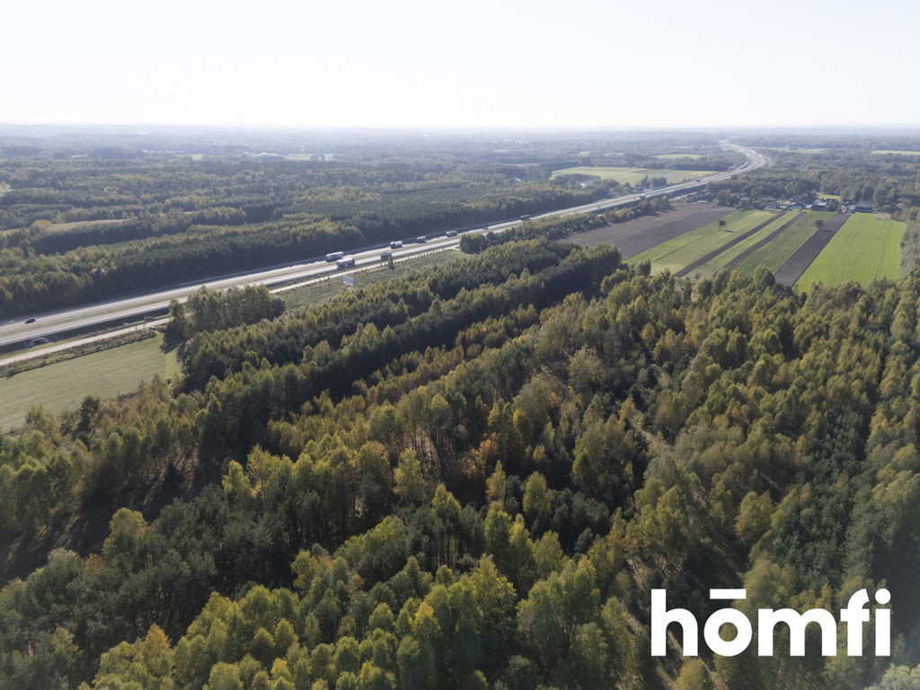 Działka budowlana 4100&nbsp;m², Kacprowice - zdjęcie 6