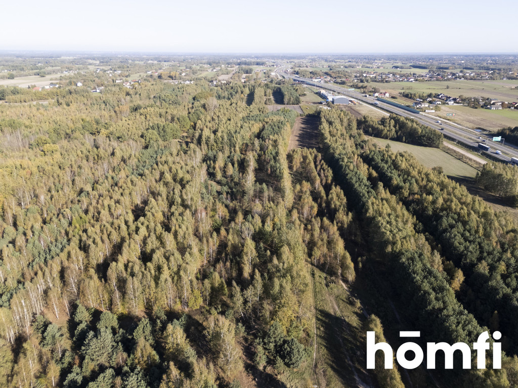 Działka budowlana 4100&nbsp;m², Kacprowice - zdjęcie 9