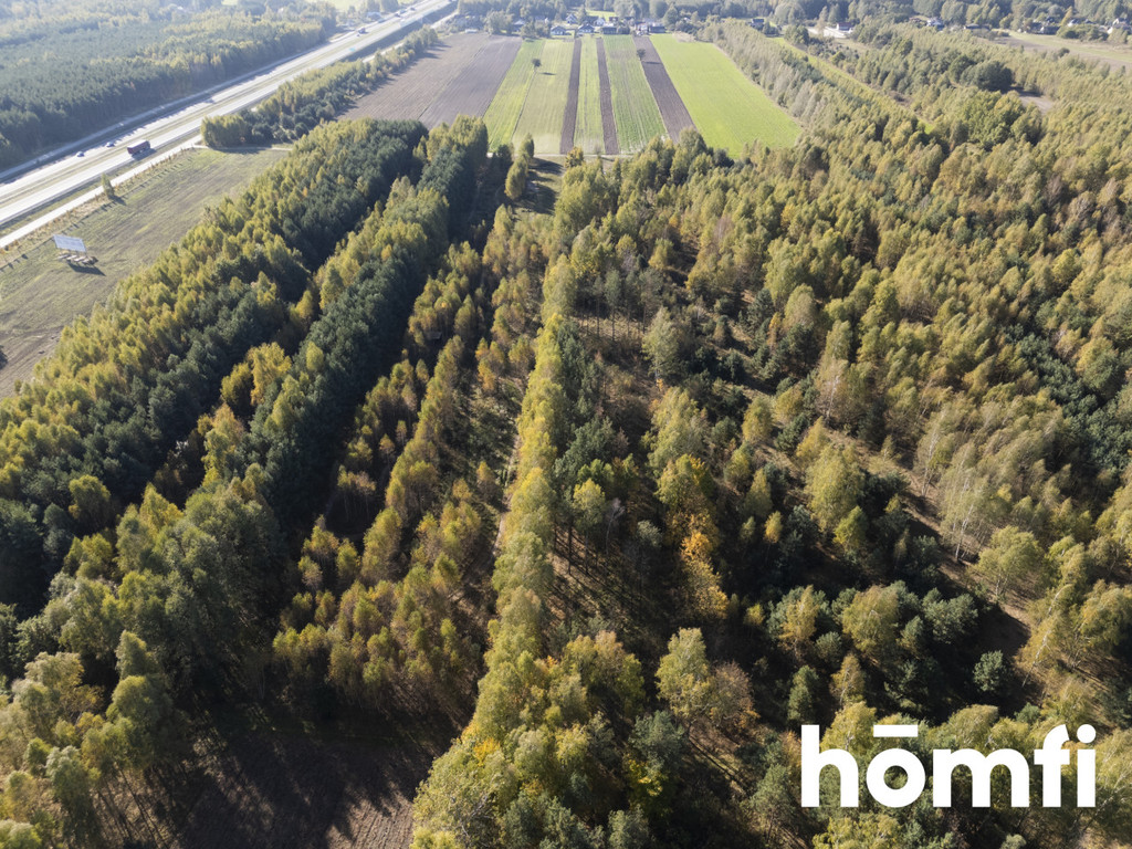 Działka budowlana 4100&nbsp;m², Kacprowice - zdjęcie 7
