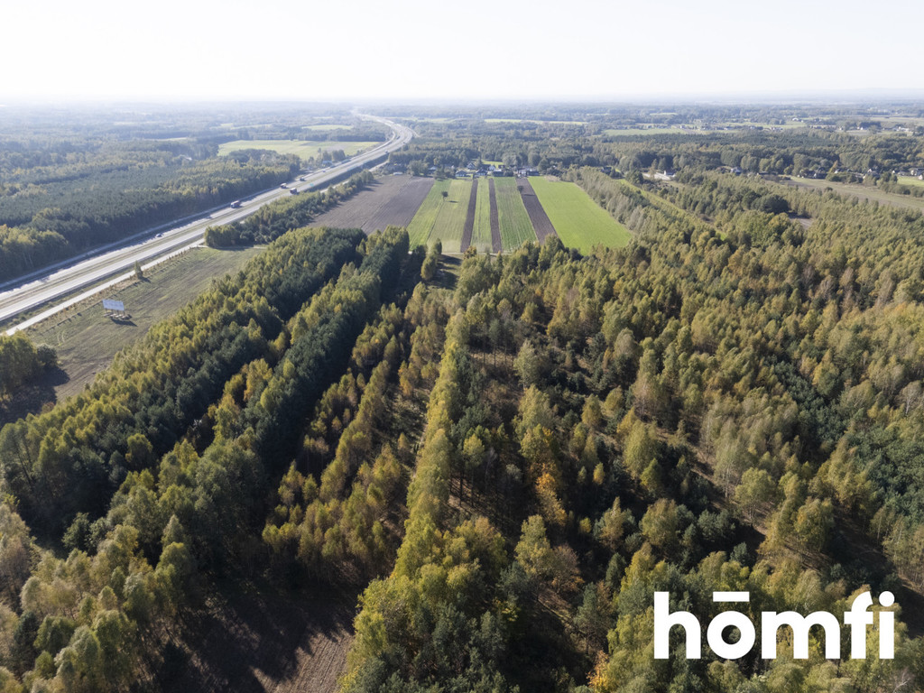 Działka budowlana 4100&nbsp;m², Kacprowice - zdjęcie 8