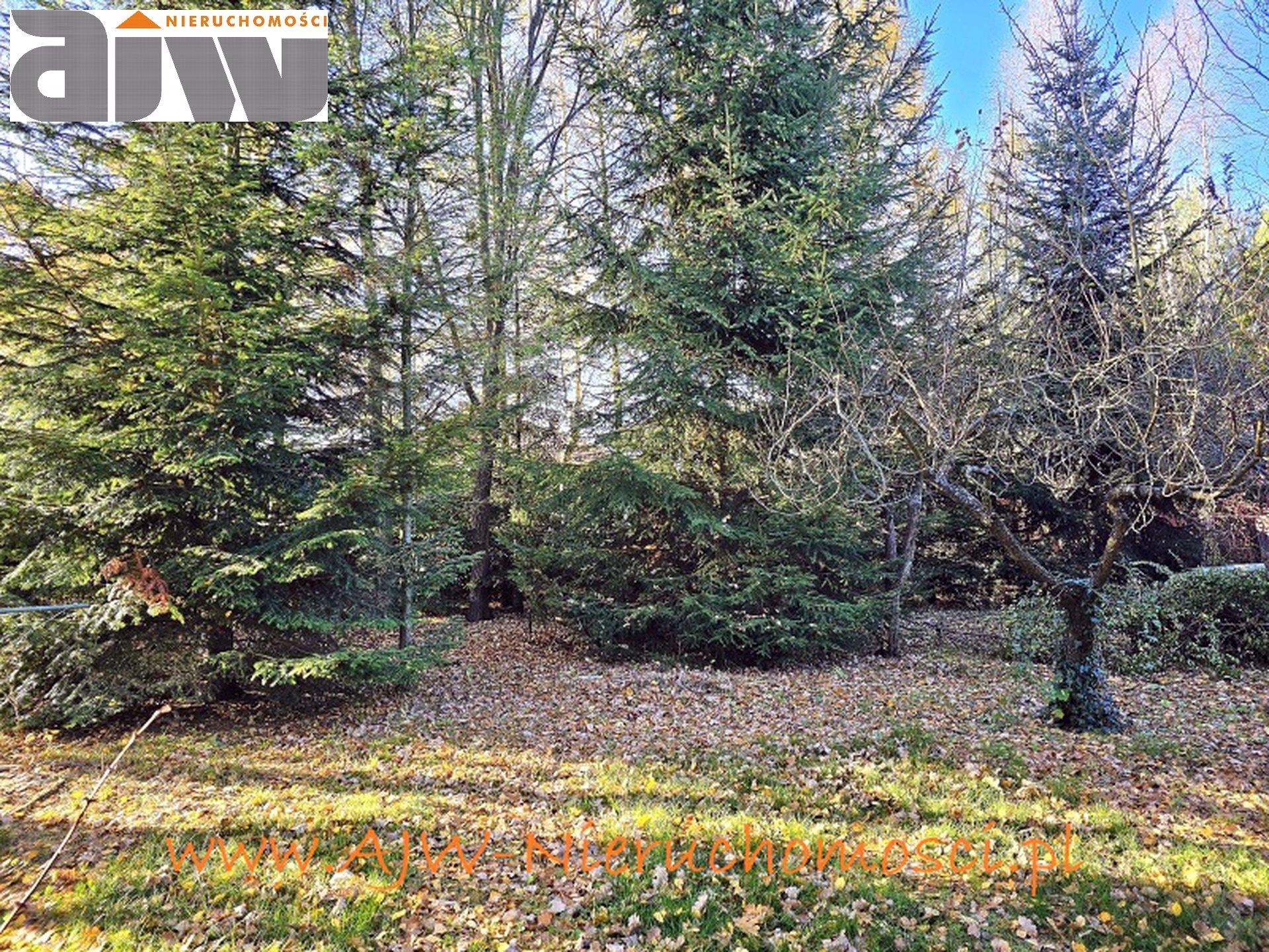 Hornówek działka budowlana 1690 m2 - zdjęcie 2