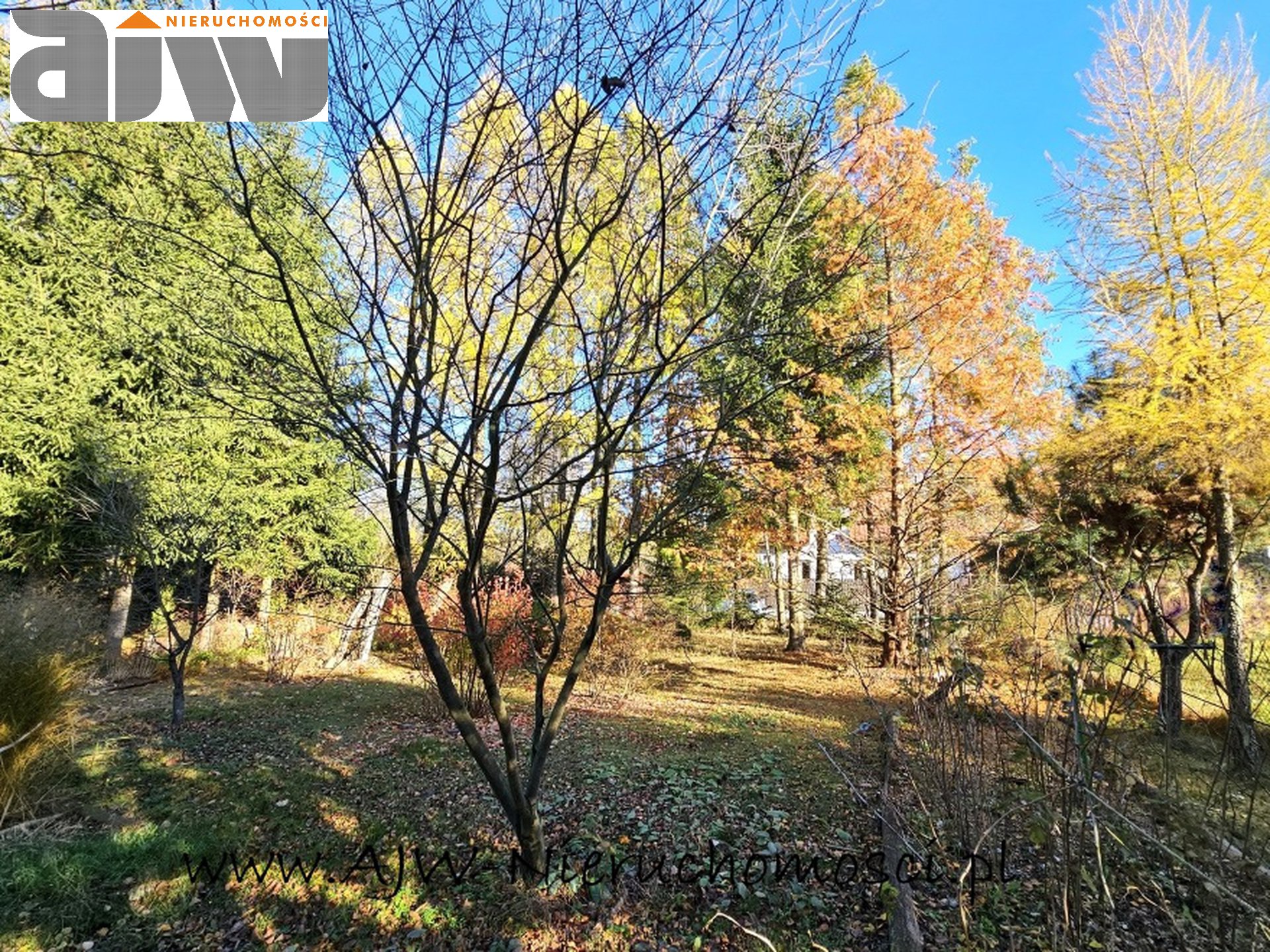 Hornówek działka budowlana 1690 m2 - zdjęcie 5