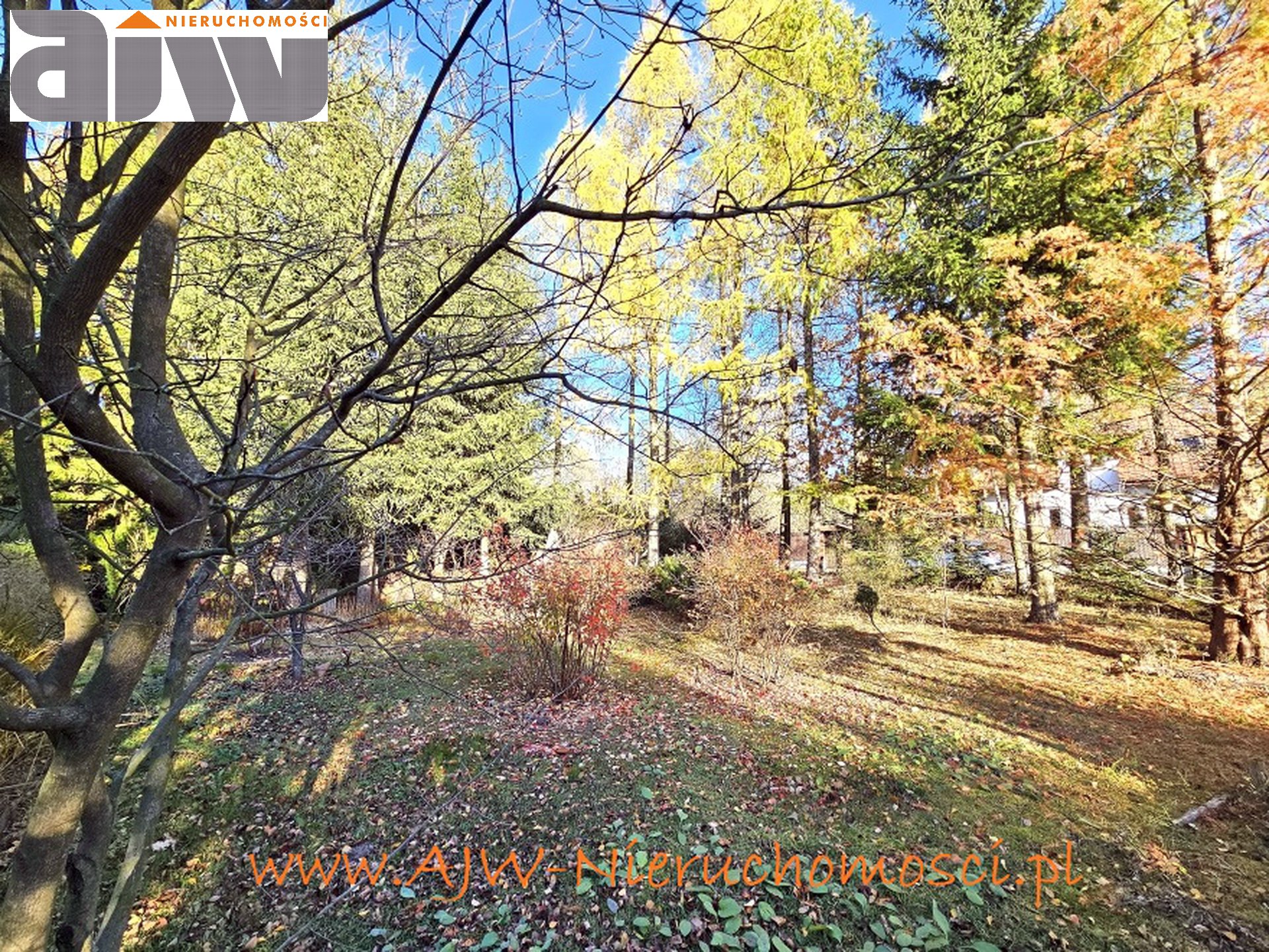 Hornówek działka budowlana 1690 m2 - zdjęcie 4