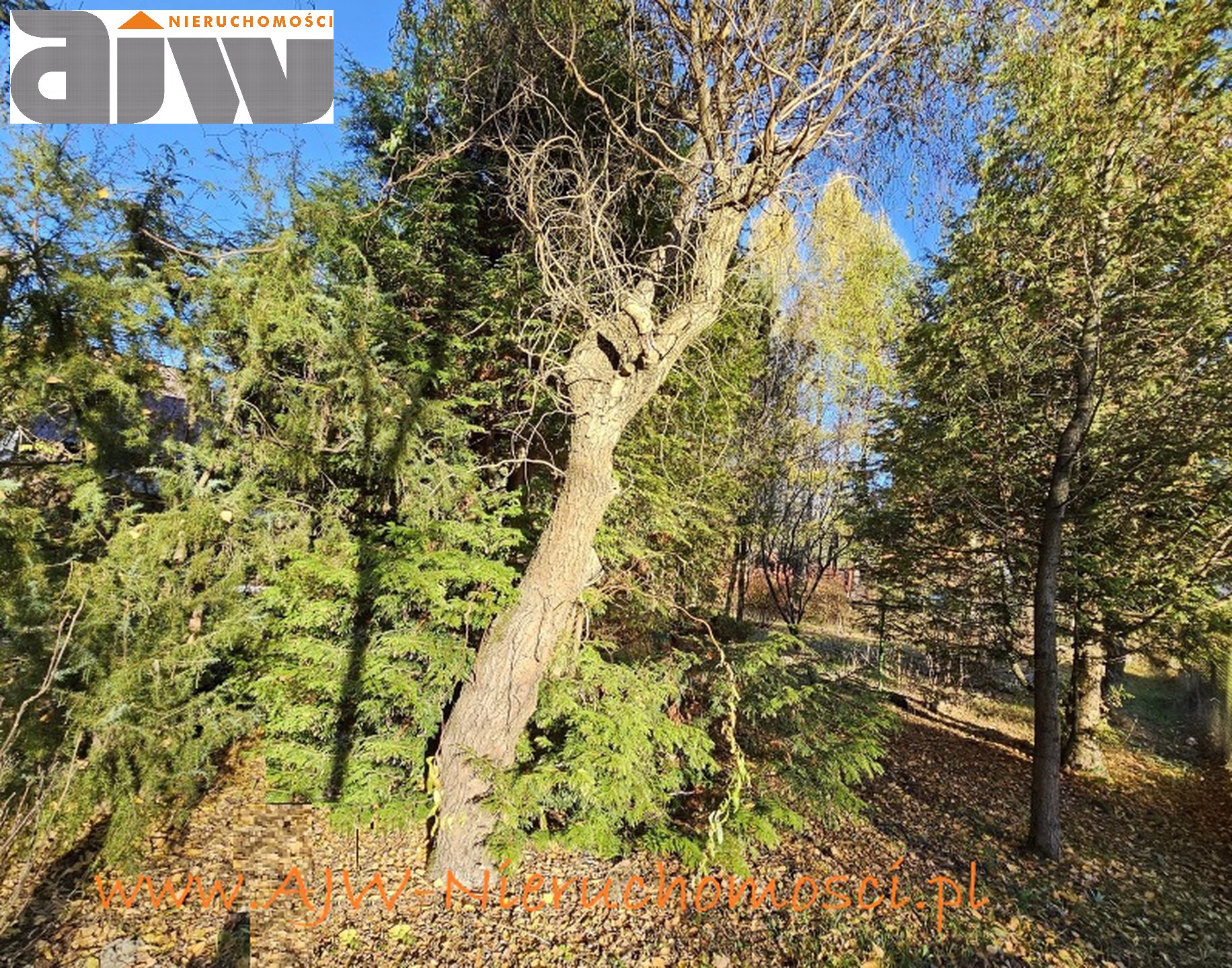 Hornówek działka budowlana 1690 m2 - zdjęcie 3