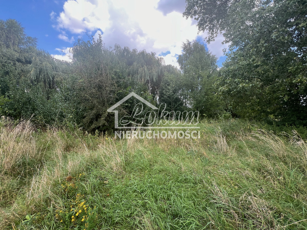 Działka rolna 3892 m², Parsów - zdjęcie 2