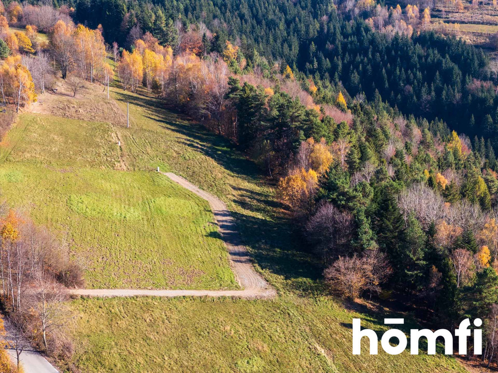Działka budowlana 4003&nbsp;m², Pcim - zdjęcie 4