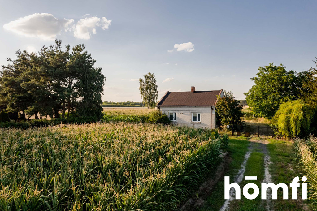 Działka rolna 11,93&nbsp;ha, Zawady - zdjęcie 1