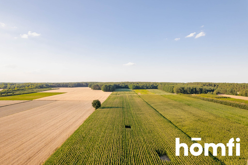 Działka rolna 11,93&nbsp;ha, Zawady - zdjęcie 6
