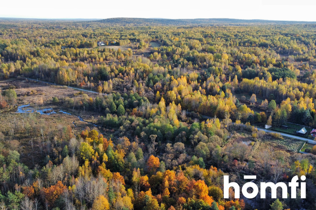 Działka budowlana 9100&nbsp;m², Rusinów - zdjęcie 6