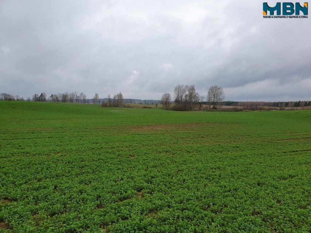 Działka rolna 4,11 ha, Orłowo - zdjęcie 12