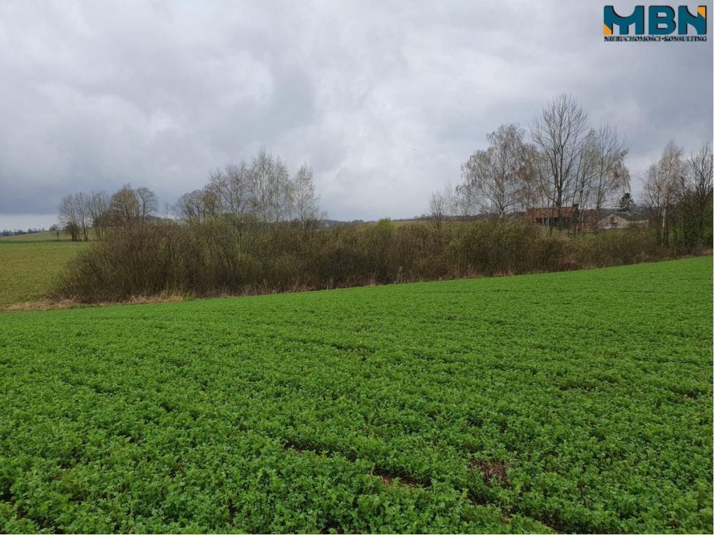Działka rolna 4,11 ha, Orłowo - zdjęcie 8