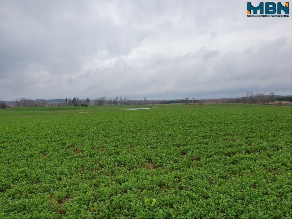 Działka rolna 4,11 ha, Orłowo - zdjęcie 5