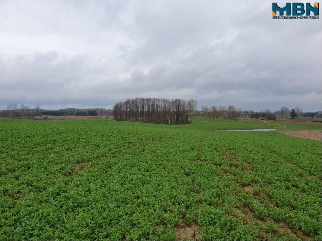 Działka rolna 4,11 ha, Orłowo - zdjęcie 7
