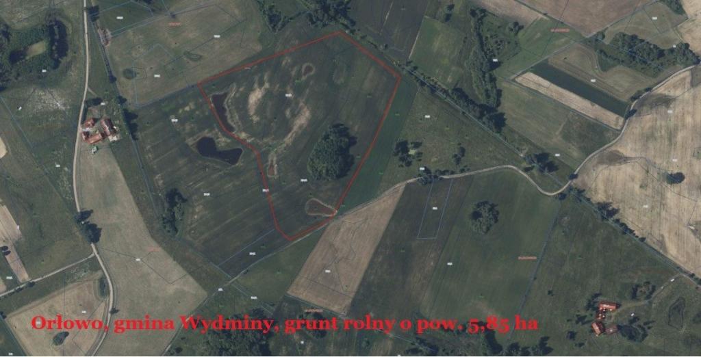 Działka rolna 4,11 ha, Orłowo - zdjęcie 19