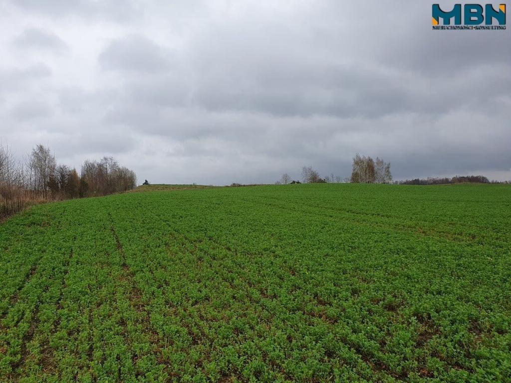 Działka rolna 4,11 ha, Orłowo - zdjęcie 16
