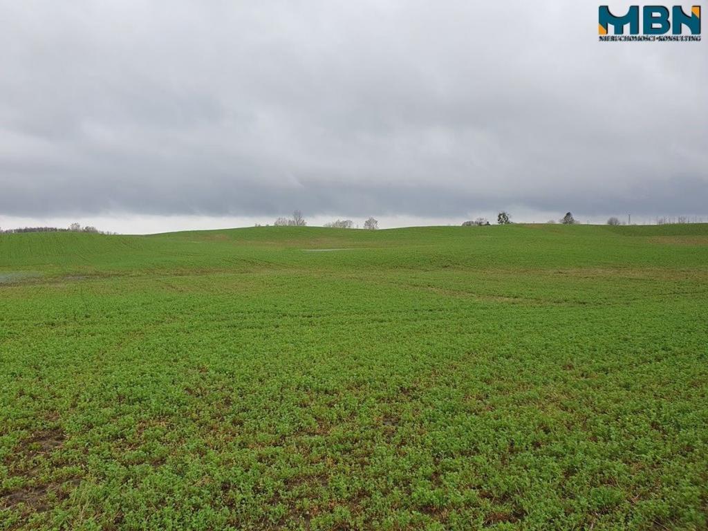 Działka rolna 4,11 ha, Orłowo - zdjęcie 15