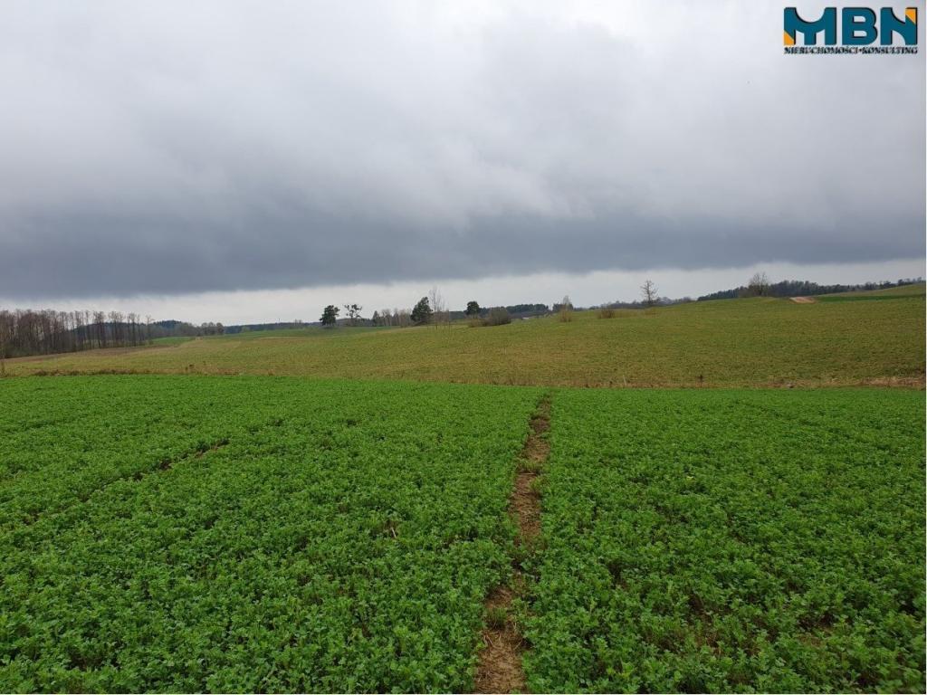 Działka rolna 4,11 ha, Orłowo - zdjęcie 4