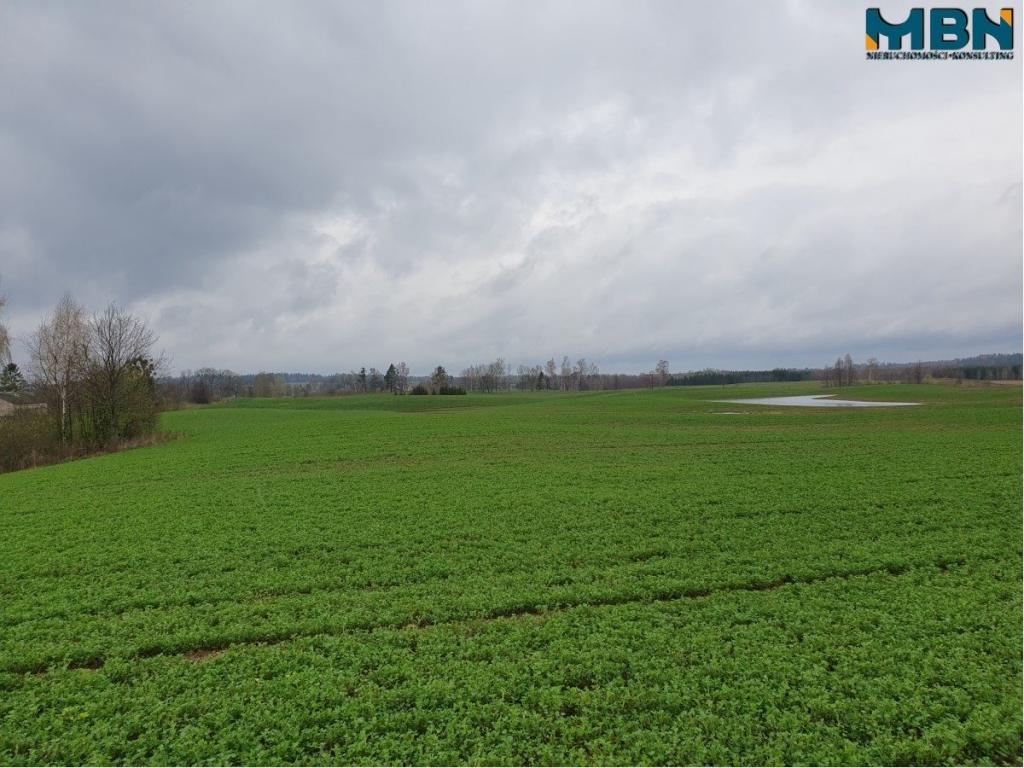 Działka rolna 4,11 ha, Orłowo - zdjęcie 9