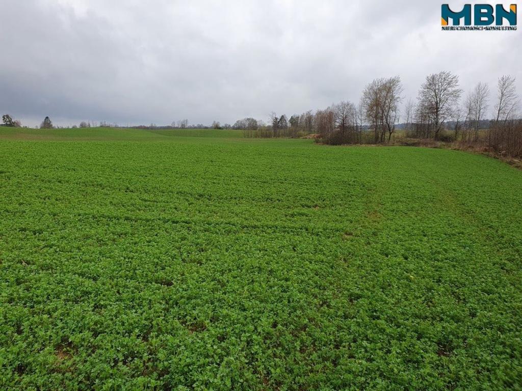 Działka rolna 4,11 ha, Orłowo - zdjęcie 18
