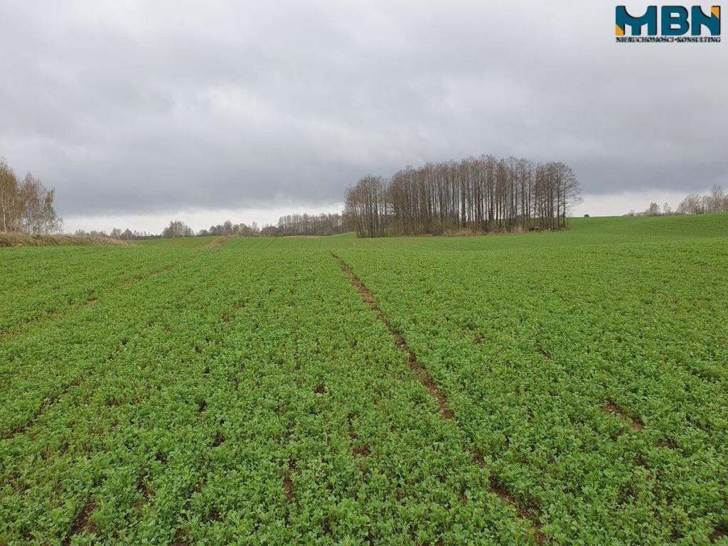 Działka rolna 4,11 ha, Orłowo - zdjęcie 17