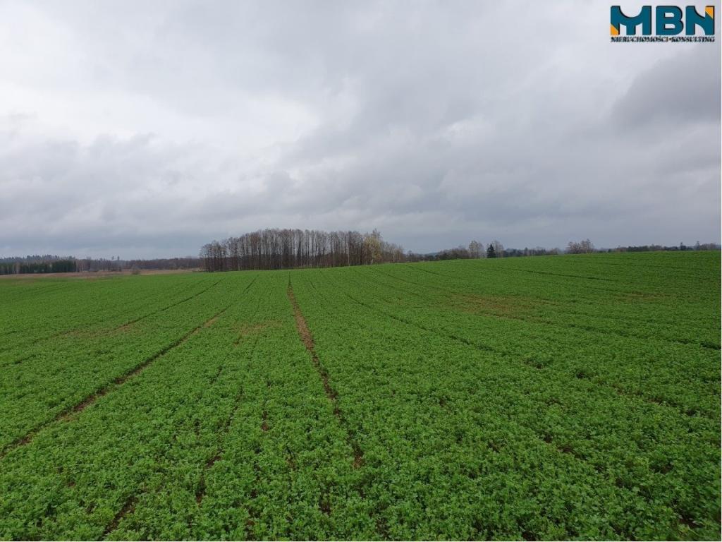 Działka rolna 4,11 ha, Orłowo - zdjęcie 2