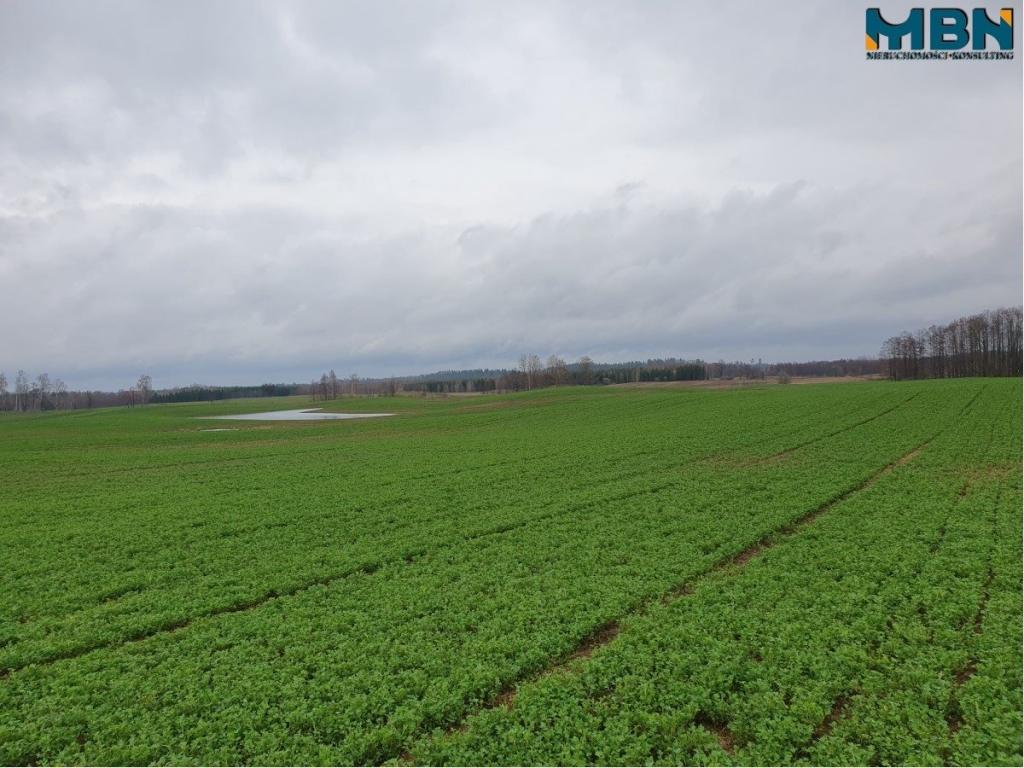 Działka rolna 4,11 ha, Orłowo - zdjęcie 1