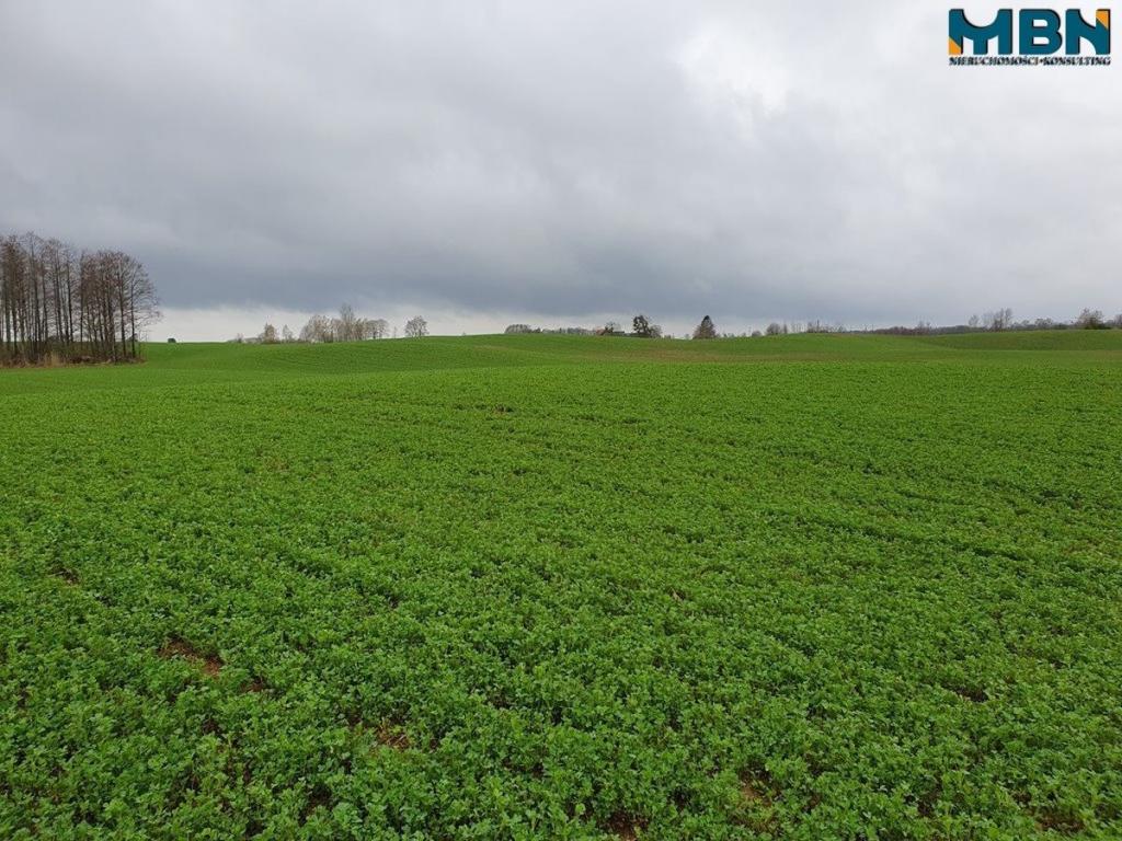 Działka rolna 4,11 ha, Orłowo - zdjęcie 11