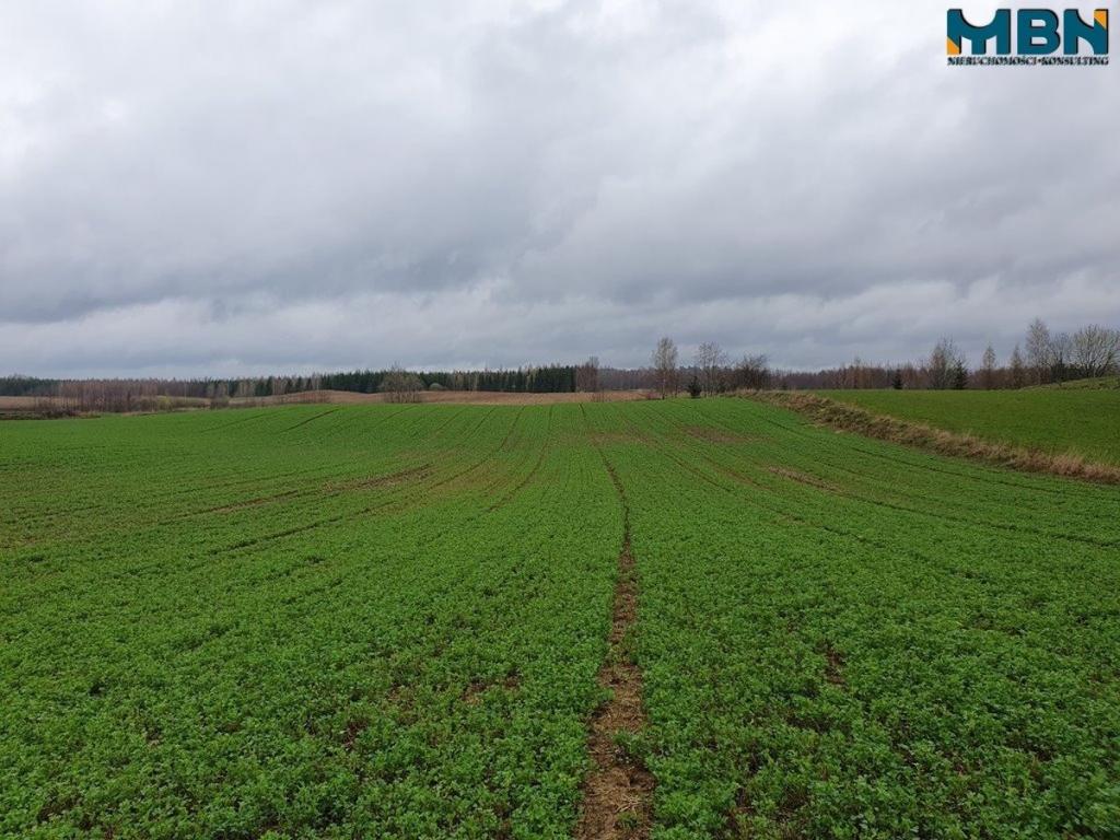 Działka rolna 4,11 ha, Orłowo - zdjęcie 13