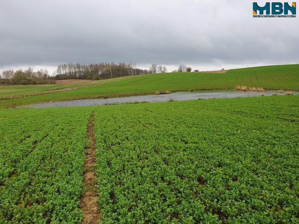 Działka rolna 4,11 ha, Orłowo - zdjęcie 14