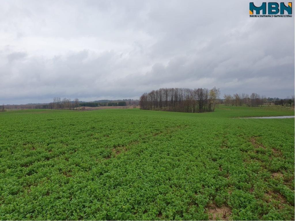 Działka rolna 4,11 ha, Orłowo - zdjęcie 6