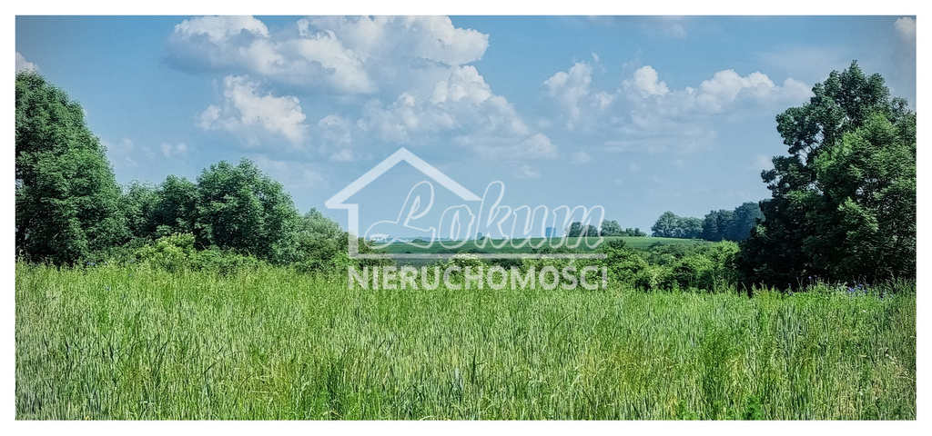 Działka budowlana 2438&nbsp;m², Barnisław - zdjęcie 5