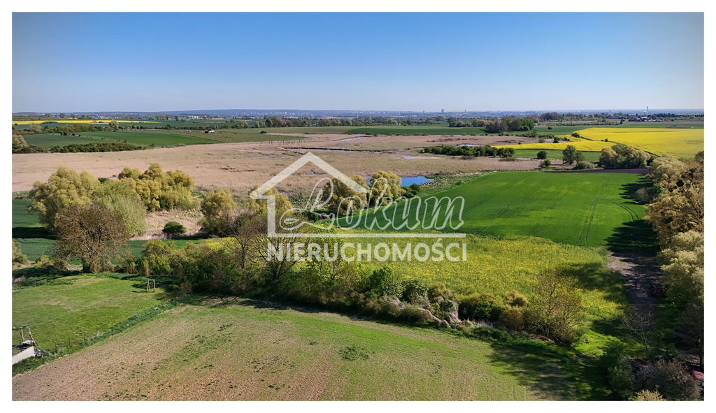 Działka budowlana 2438&nbsp;m², Barnisław - zdjęcie 7