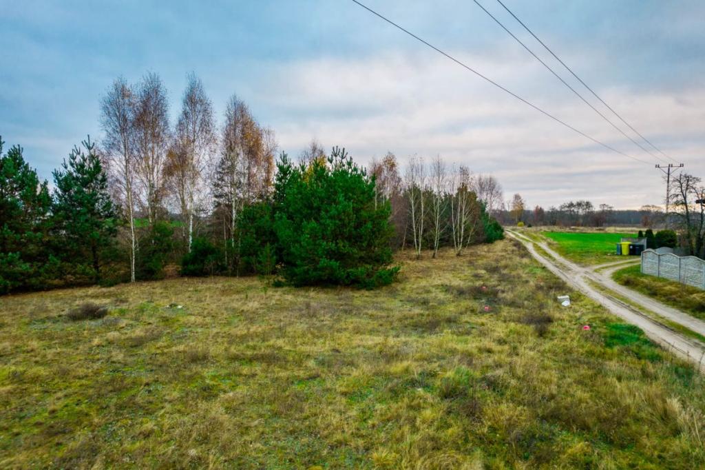 Działki budowlane pod Czerskiem - zdjęcie 13
