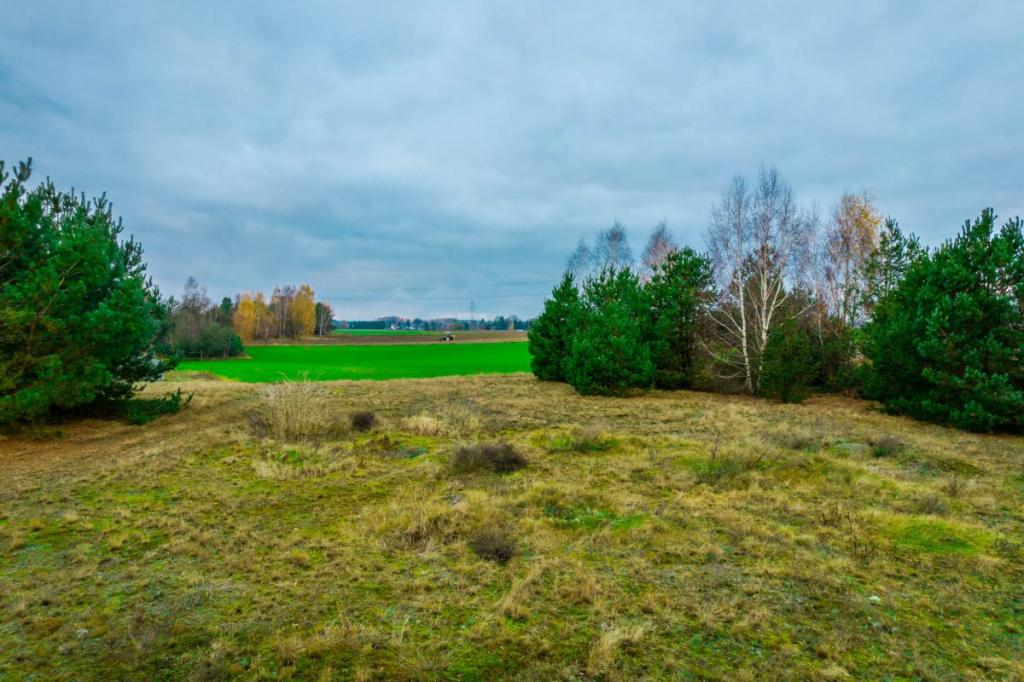 Działki budowlane pod Czerskiem - zdjęcie 14