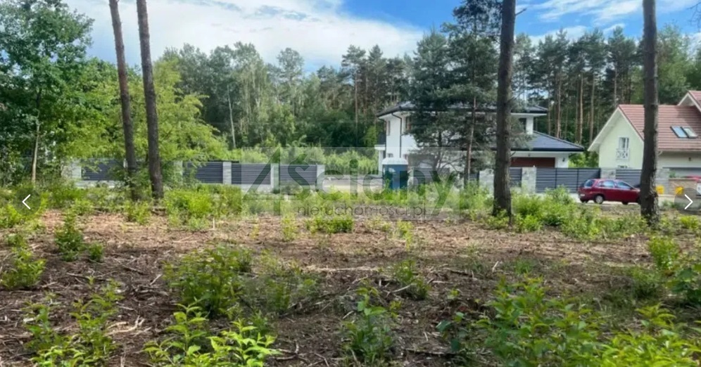 Działka rolna 1790&nbsp;m², Wolica - zdjęcie 4