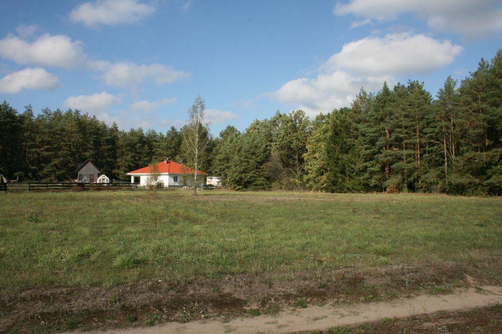 Zabielne Działka do sprzedania - zdjęcie 4