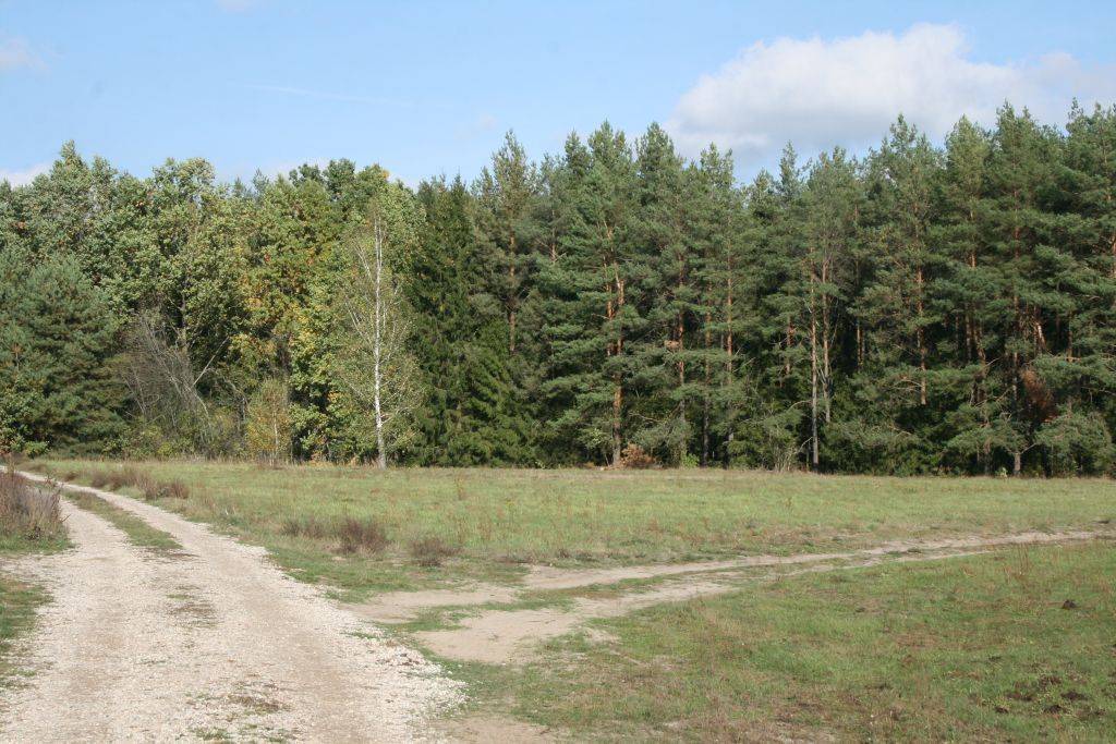Zabielne Działka do sprzedania - zdjęcie 1