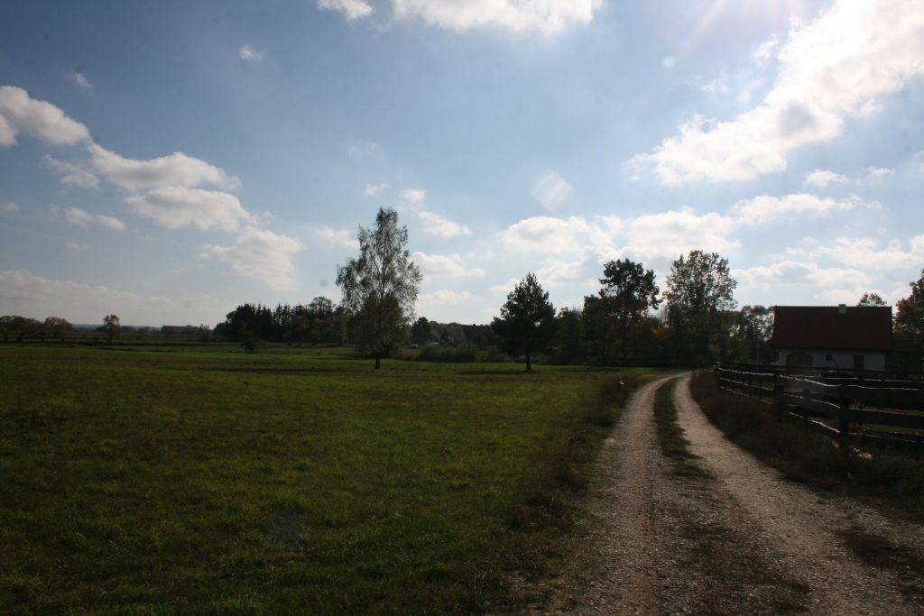 Zabielne Działka do sprzedania - zdjęcie 8