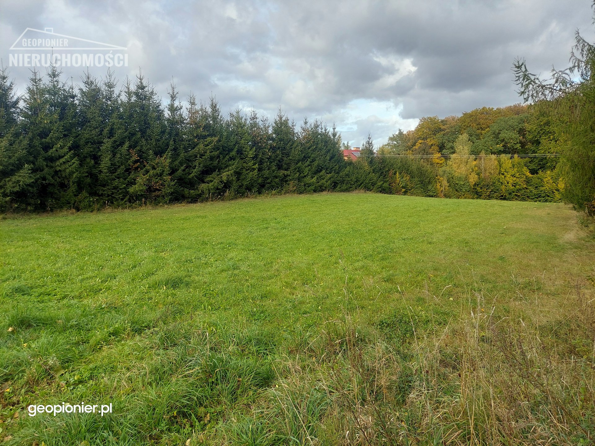 Działka Liksajny przy ścianie lasu, blisko jezioro - zdjęcie 7