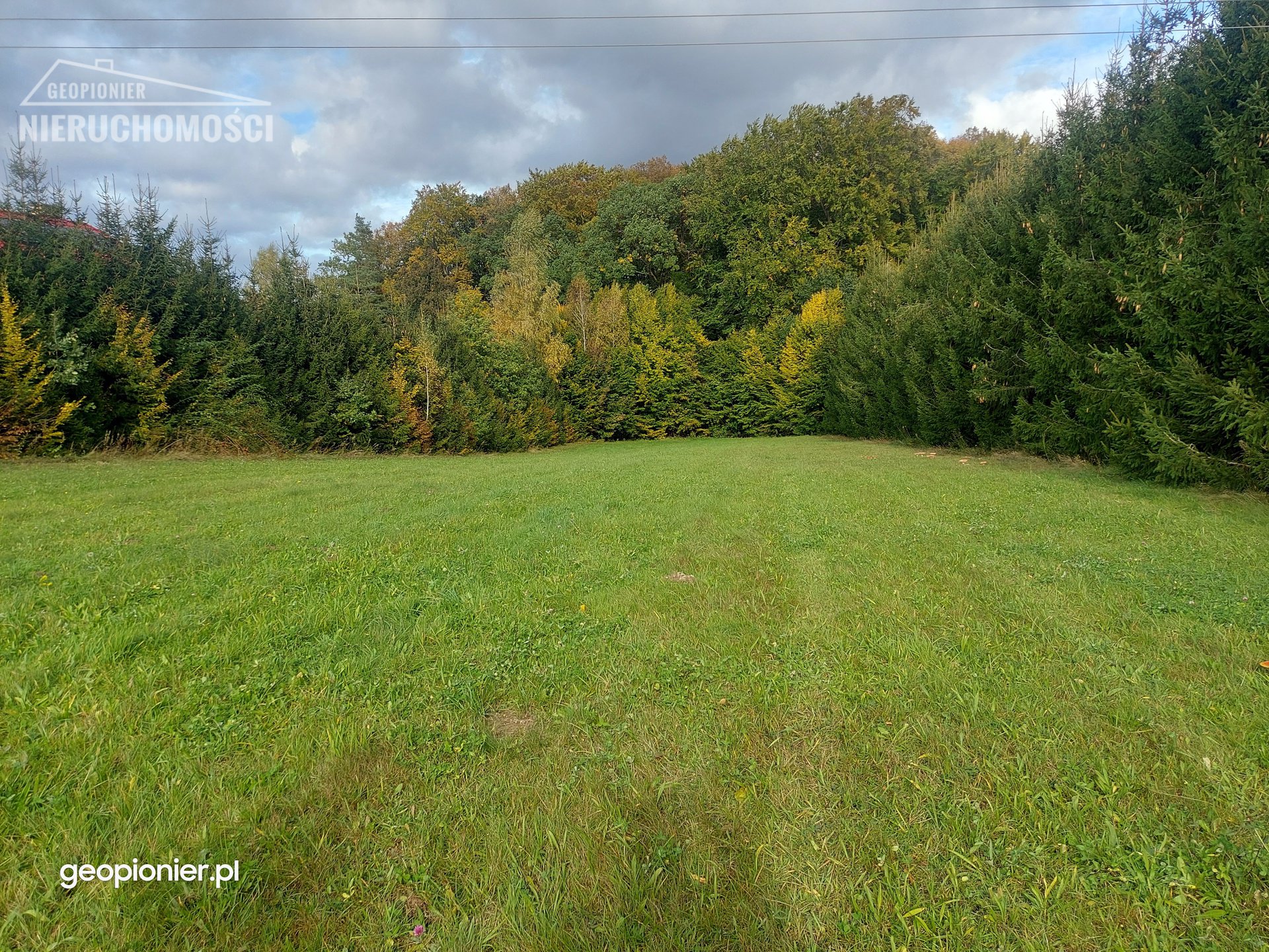 Działka Liksajny przy ścianie lasu, blisko jezioro - zdjęcie 10