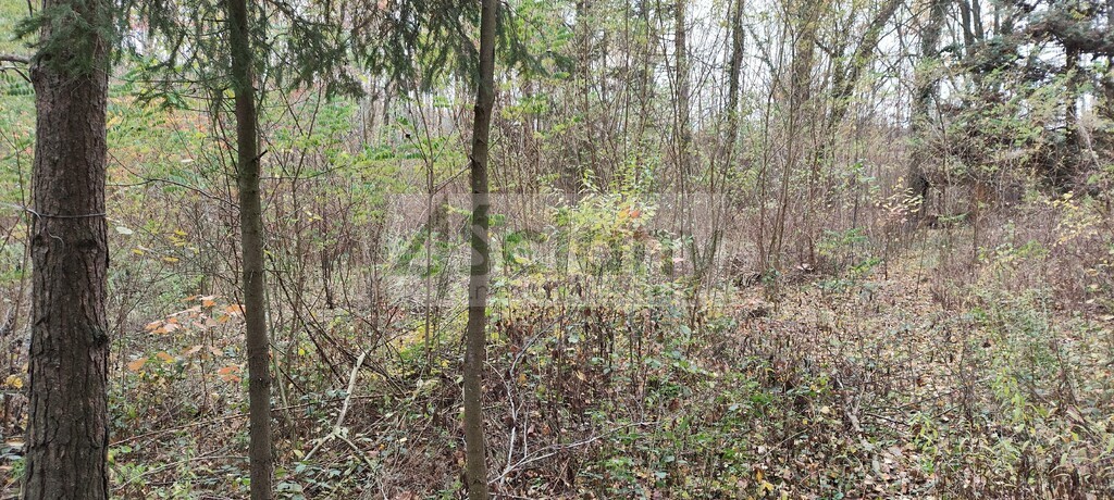 Działka rekreacyjna 1500&nbsp;m², Ojrzanów - zdjęcie 1