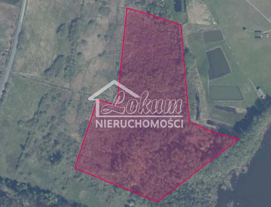 Działka rolna 5,02&nbsp;ha, Zabierzewo - zdjęcie 2