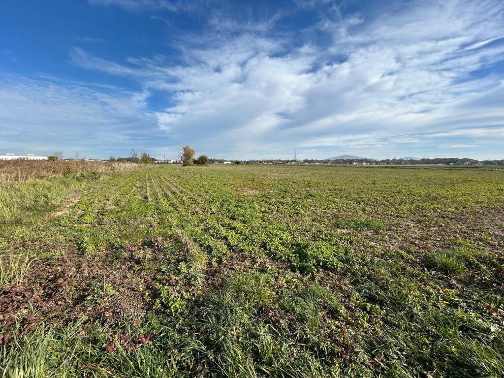 Działka inwestycyjna 2,67&nbsp;ha, Świdnica, Metalowców - zdjęcie 4