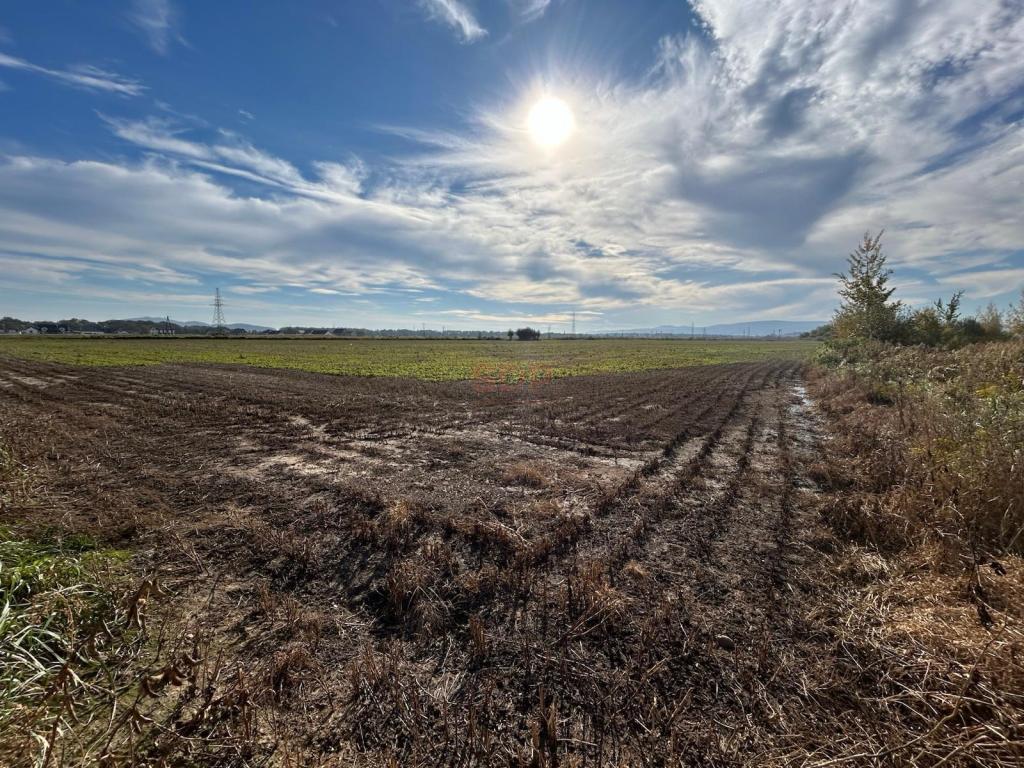 Działka inwestycyjna 2,67&nbsp;ha, Świdnica, Metalowców - zdjęcie 1