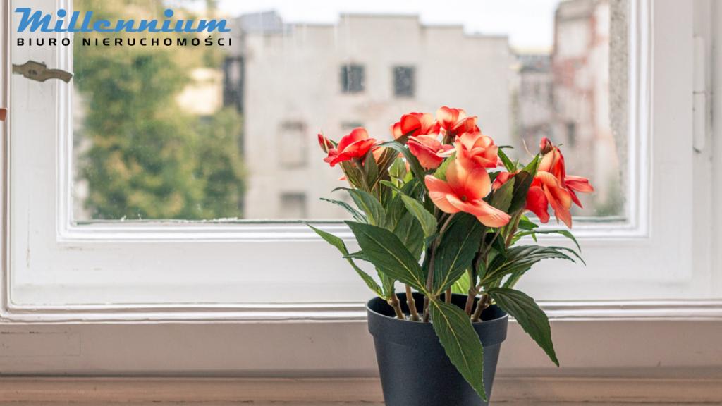 Mieszkanie z dwoma wejściami - idealne na 3 lokal- - zdjęcie 16