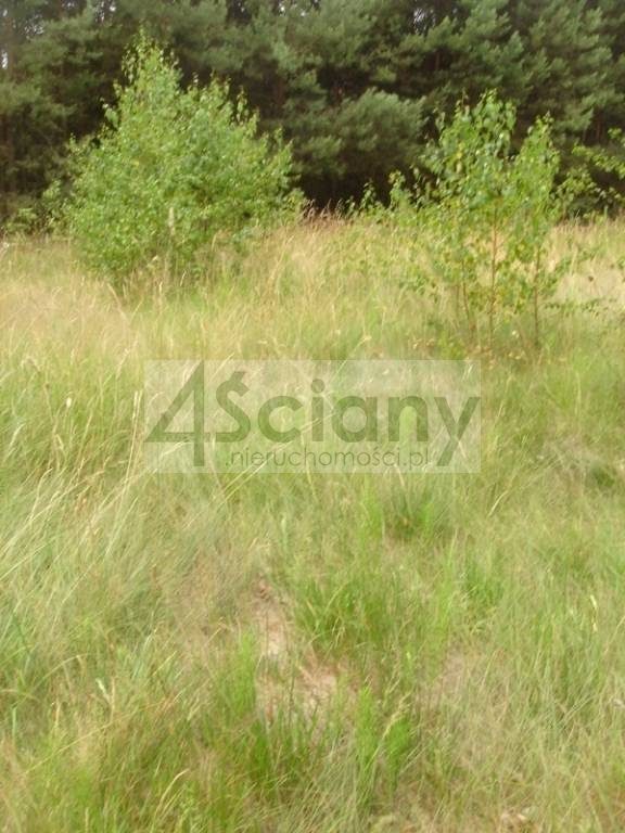 Działka budowlana 1100 m², Łępice - zdjęcie 3